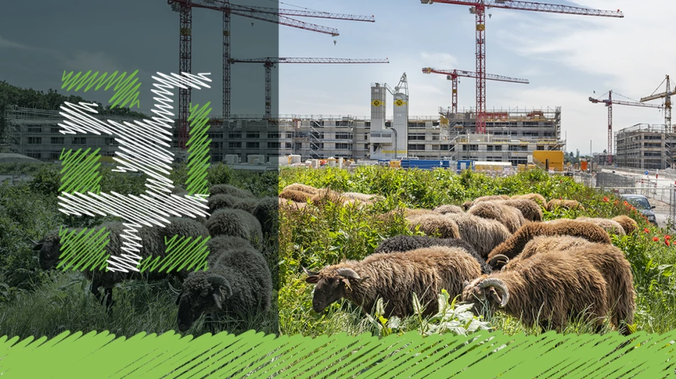 <br />
<b>Warning</b>:  Undefined array key 0 in <b>/home/clients/aa9938cec86bf2b3fd1967f203805ef4/sites/2025.blossom-partenaires.ch/templates/sections/section.php</b> on line <b>38</b><br />
